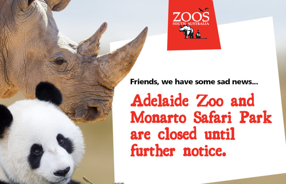 Closure at Zoos SA, Adelaide Zoo, Monarto Safari Park, COVID 19,