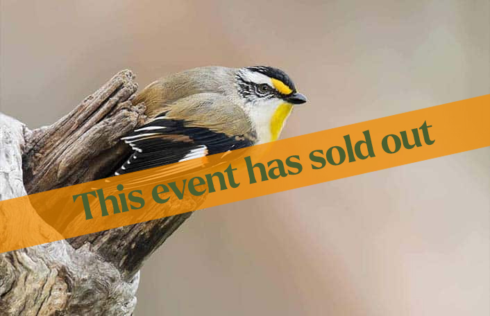 Bird watching sold out
