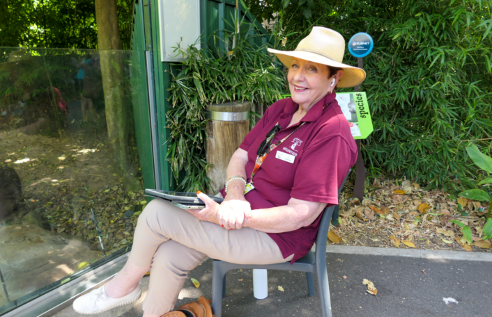 ZooWatch volunteer sits on chair with iPad in front of otter habitat