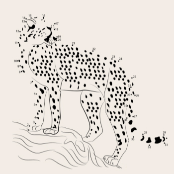 connect the dots zoo times game