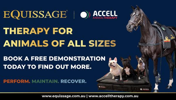 Equissage Mobile Banner