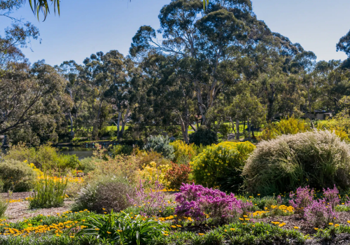 wittunga botanic gardens