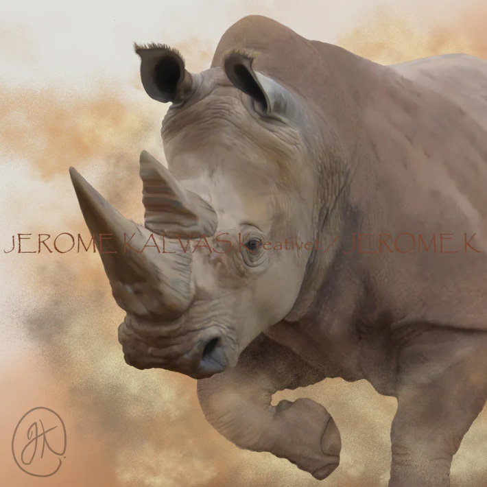 Southern White Rhinoceros print - Zoos SA
