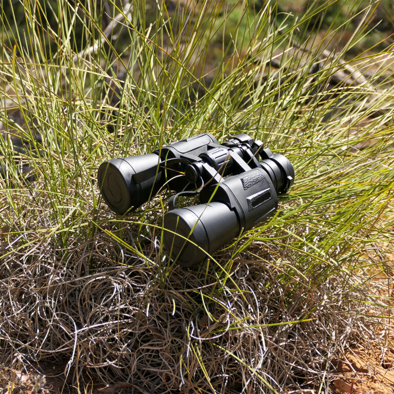 Black binoculars resting on a shrub in bushland